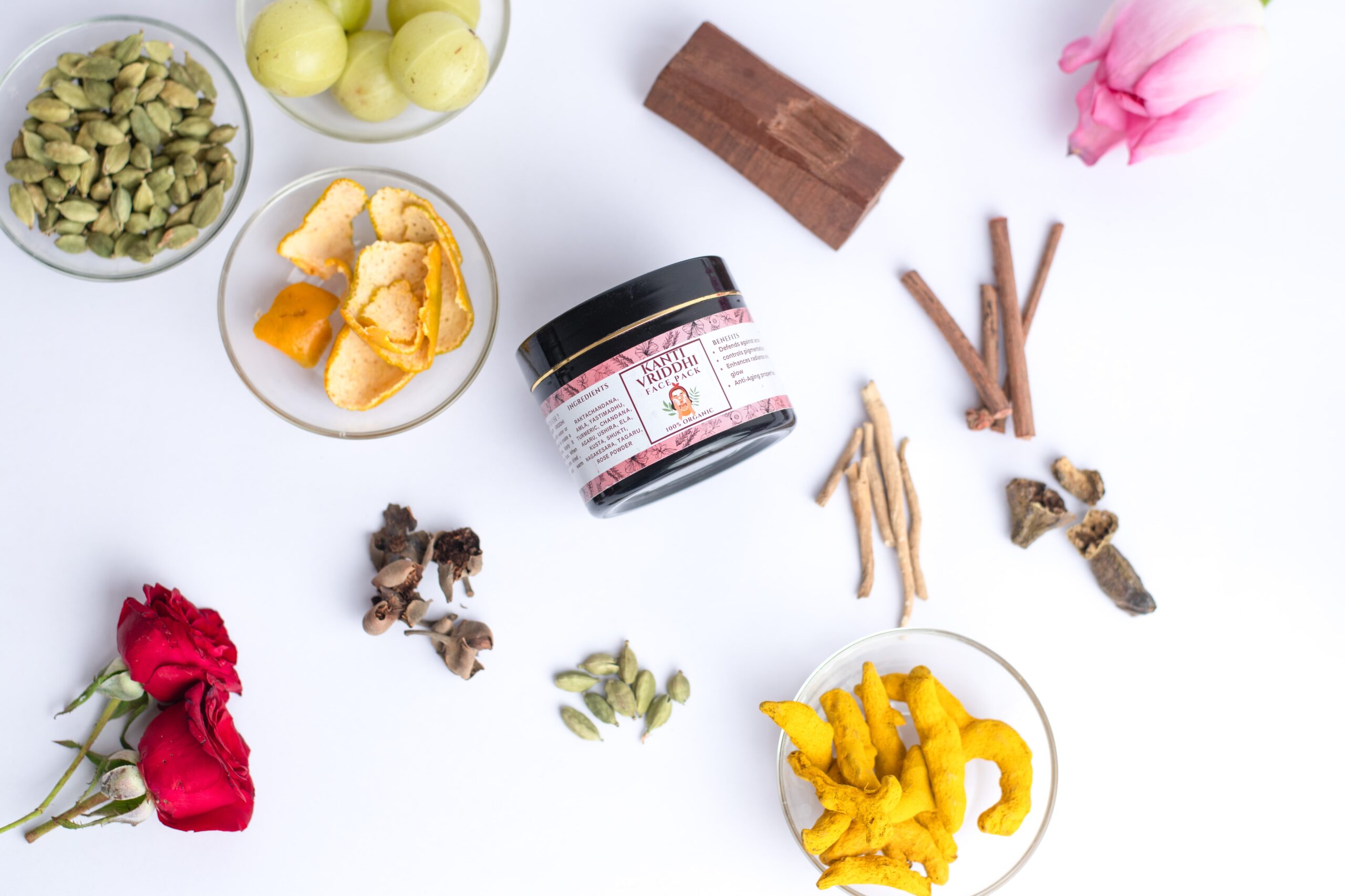 starlight succulent starlight succulent